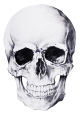 welcome to death gin