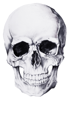 Death Gin